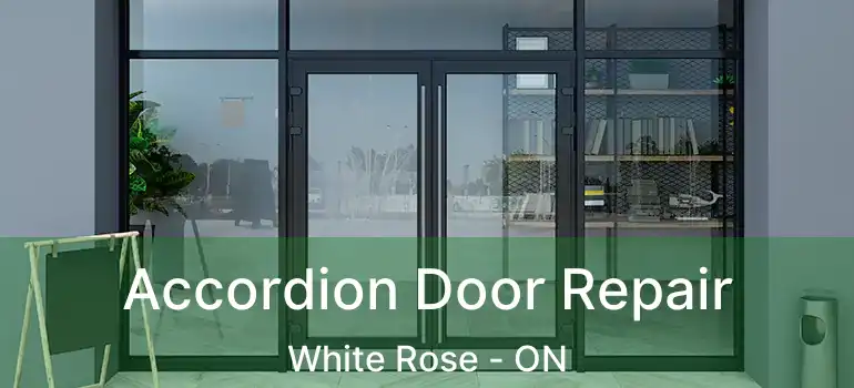  Accordion Door Repair White Rose - ON