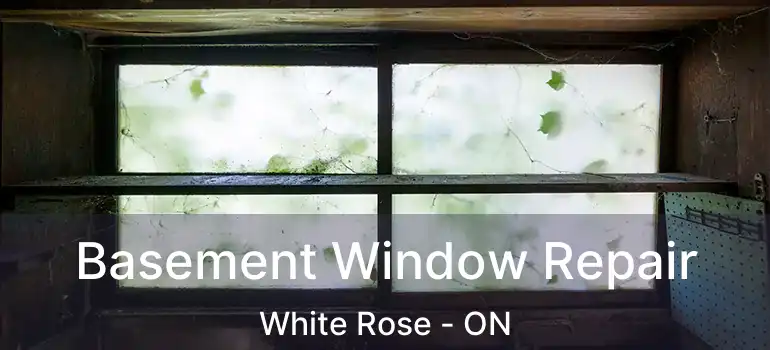  Basement Window Repair White Rose - ON