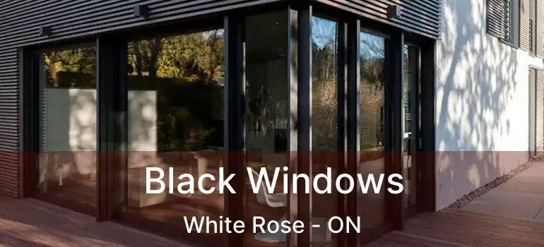  Black Windows White Rose - ON