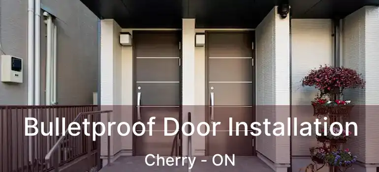  Bulletproof Door Installation Cherry - ON