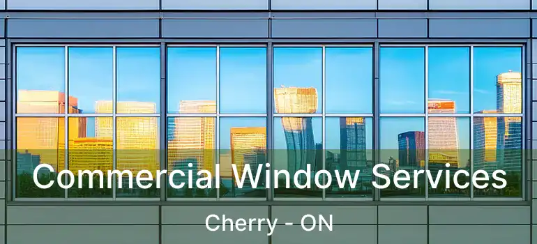  Commercial Window Services Cherry - ON