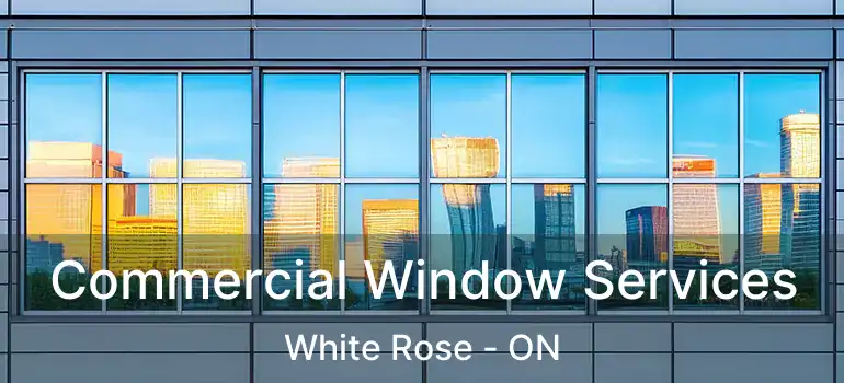  Commercial Window Services White Rose - ON