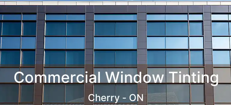  Commercial Window Tinting Cherry - ON