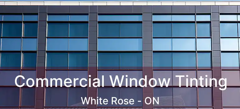  Commercial Window Tinting White Rose - ON