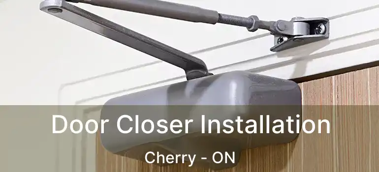  Door Closer Installation Cherry - ON