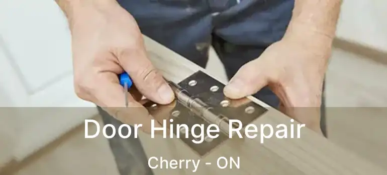  Door Hinge Repair Cherry - ON