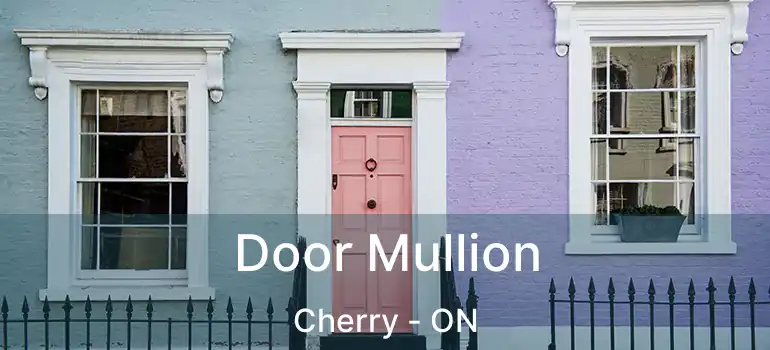  Door Mullion Cherry - ON