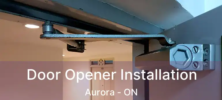  Door Opener Installation Aurora - ON