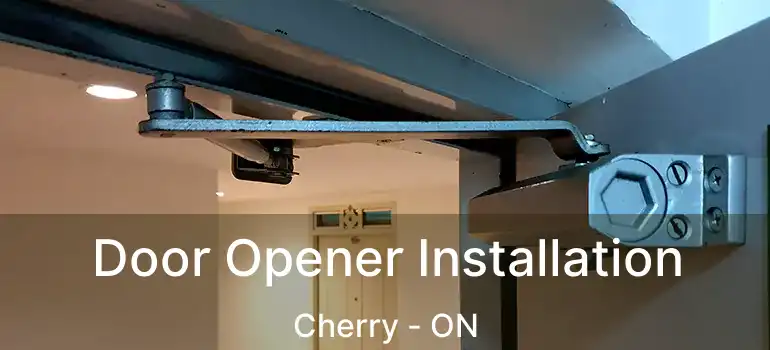  Door Opener Installation Cherry - ON