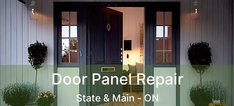  Door Panel Repair State & Main - ON
