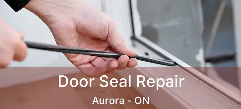  Door Seal Repair Aurora - ON