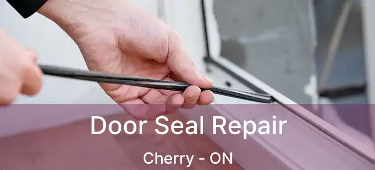  Door Seal Repair Cherry - ON