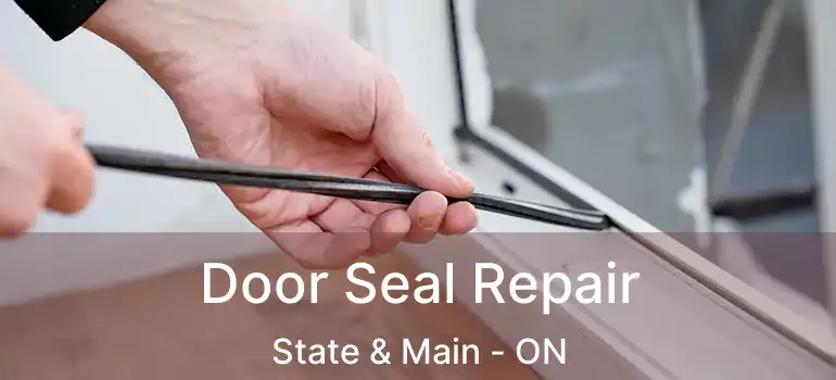  Door Seal Repair State & Main - ON