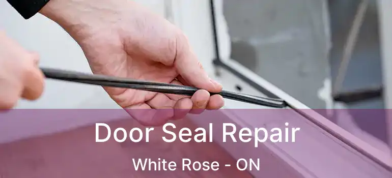  Door Seal Repair White Rose - ON