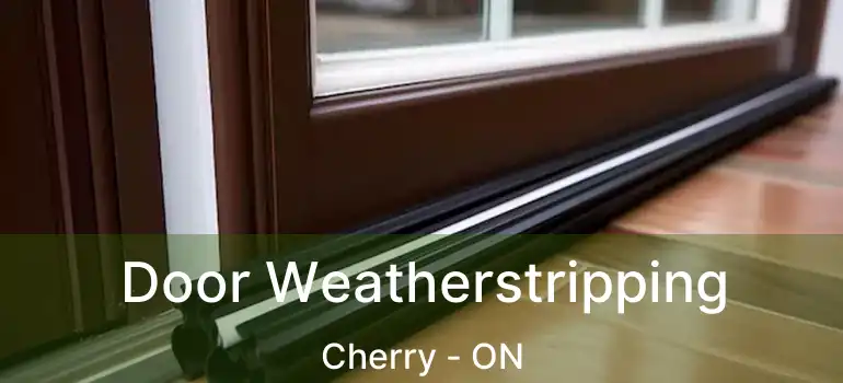 Door Weatherstripping Cherry - ON