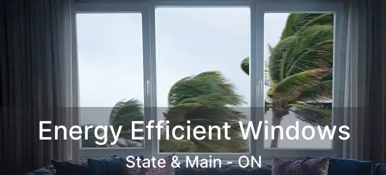  Energy Efficient Windows State & Main - ON