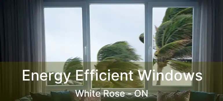  Energy Efficient Windows White Rose - ON