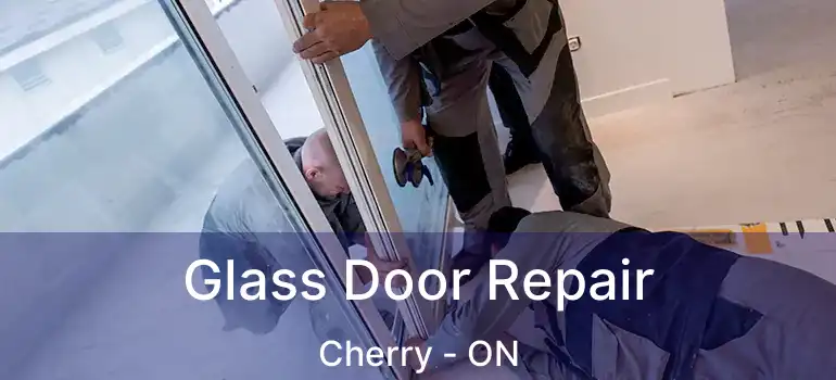  Glass Door Repair Cherry - ON