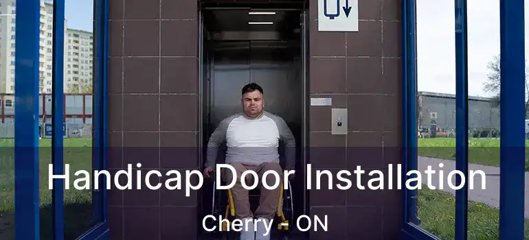  Handicap Door Installation Cherry - ON