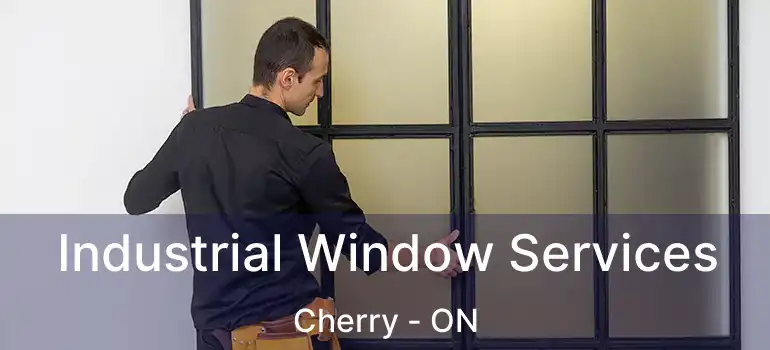  Industrial Window Services Cherry - ON