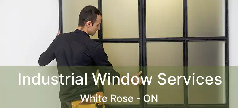  Industrial Window Services White Rose - ON