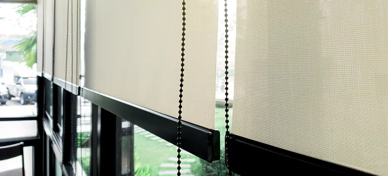 Blackout Window Shades in State & Main, Ontario