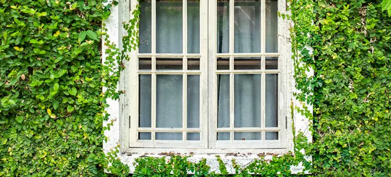 Garden Window Repair Near Me in Aurora, ON