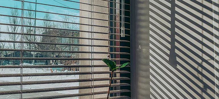 Commercial Window Blinds in White Rose, ON