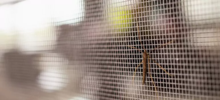 Repair Mosquito Mesh For Windows in Cherry, Ontario