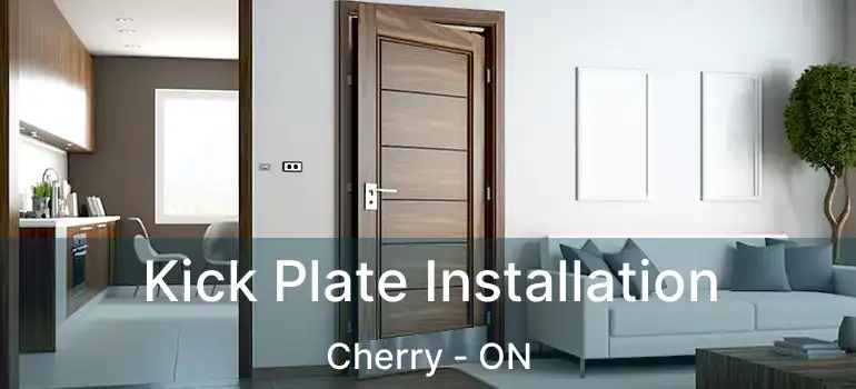  Kick Plate Installation Cherry - ON