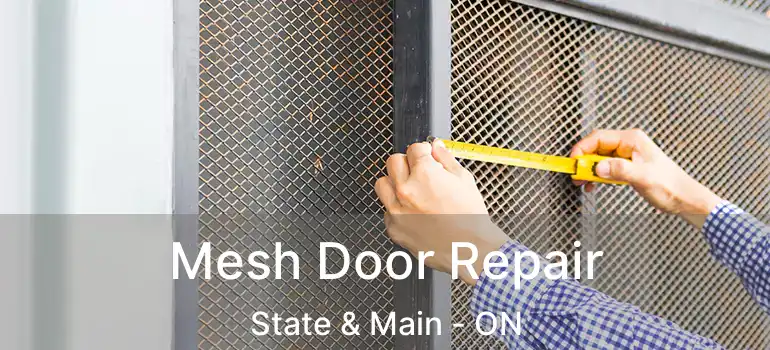  Mesh Door Repair State & Main - ON