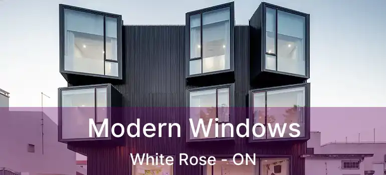  Modern Windows White Rose - ON