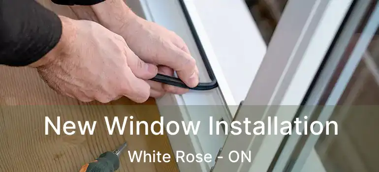  New Window Installation White Rose - ON