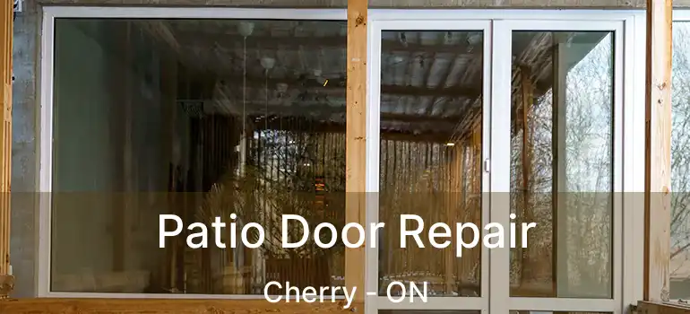  Patio Door Repair Cherry - ON