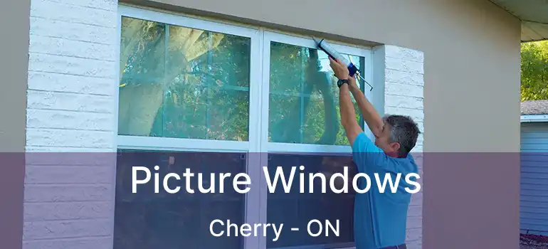  Picture Windows Cherry - ON