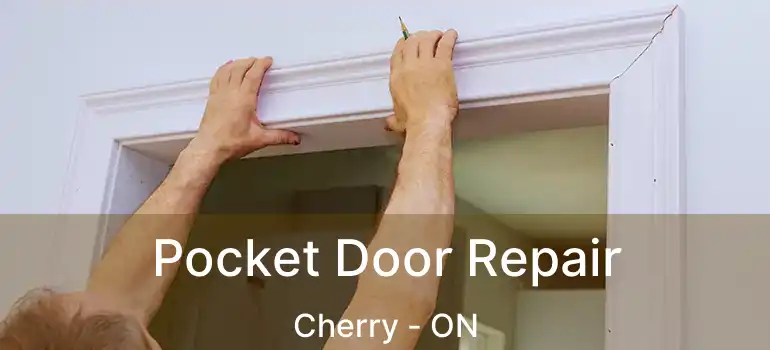  Pocket Door Repair Cherry - ON
