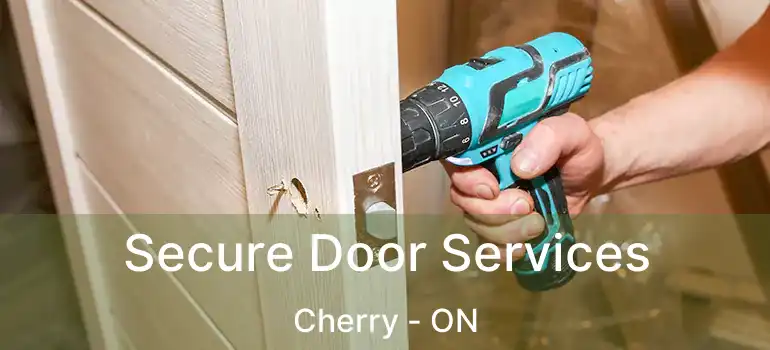  Secure Door Services Cherry - ON