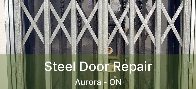  Steel Door Repair Aurora - ON