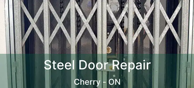  Steel Door Repair Cherry - ON