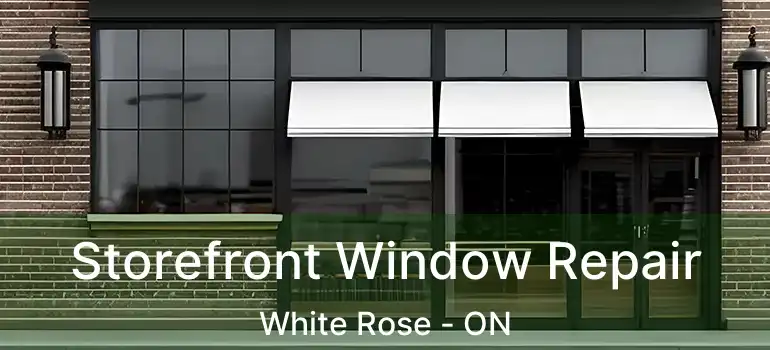  Storefront Window Repair White Rose - ON