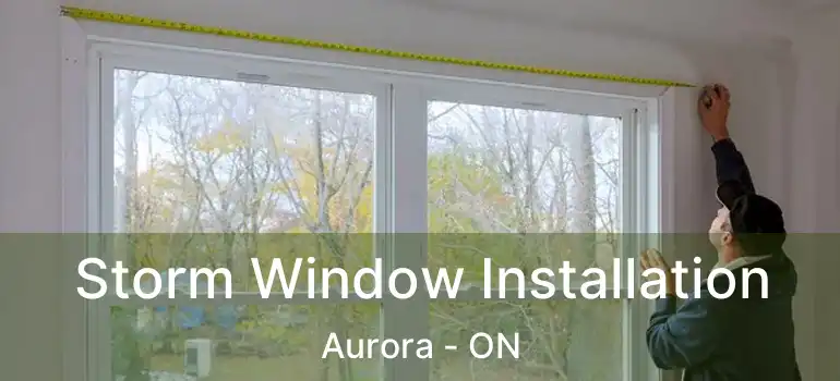  Storm Window Installation Aurora - ON