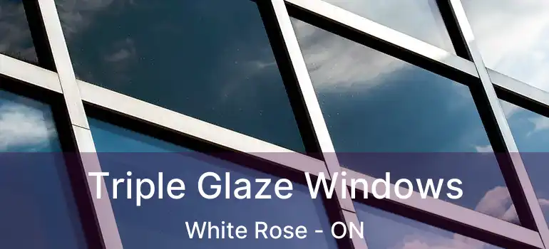 Triple Glaze Windows White Rose - ON