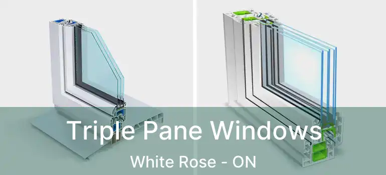  Triple Pane Windows White Rose - ON
