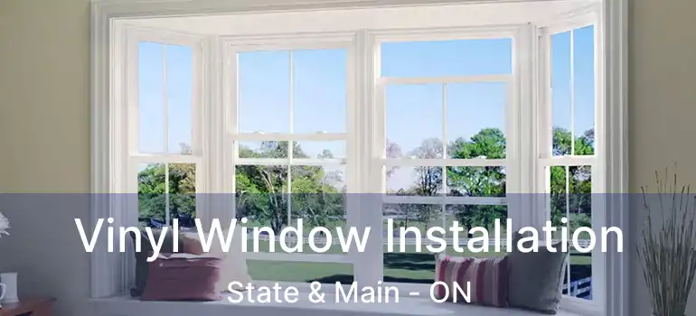  Vinyl Window Installation State & Main - ON