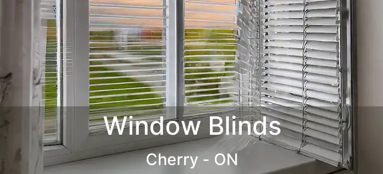  Window Blinds Cherry - ON