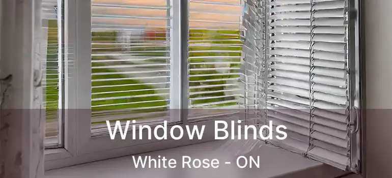  Window Blinds White Rose - ON
