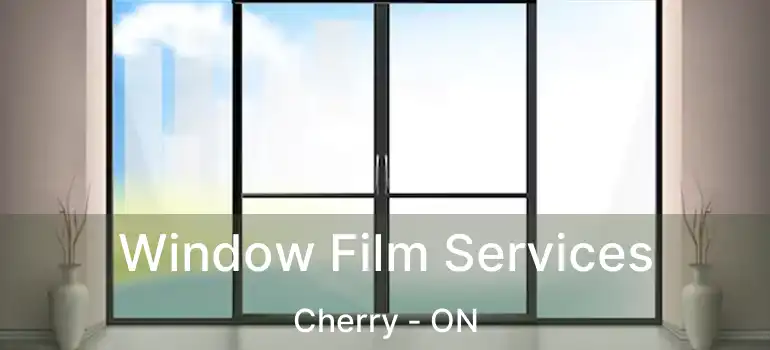  Window Film Services Cherry - ON