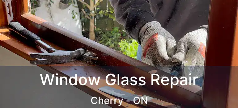  Window Glass Repair Cherry - ON