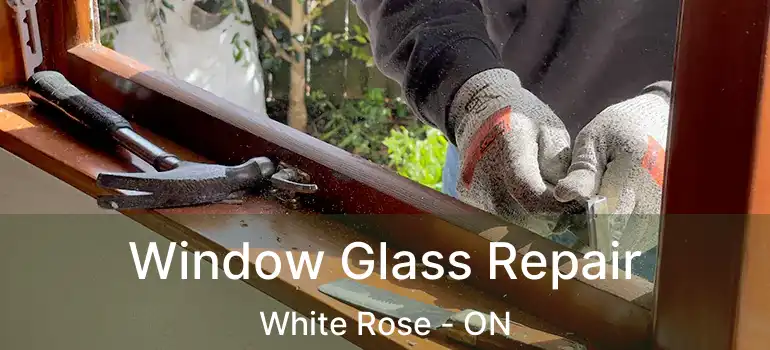  Window Glass Repair White Rose - ON