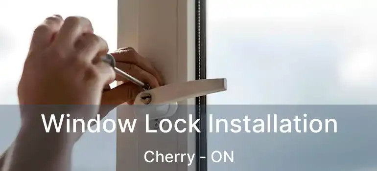  Window Lock Installation Cherry - ON